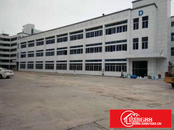 东坑全新标准3栋共21000平方标准厂房可整租分租