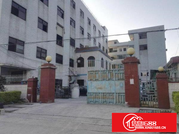 坪山碧岭新出原房东3楼整层500平厂房出租