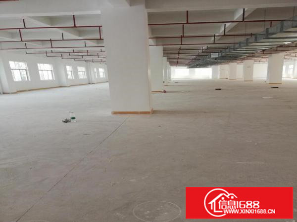 坪山原房东红本厂房每层1800平米共7层，钢构两栋4350平