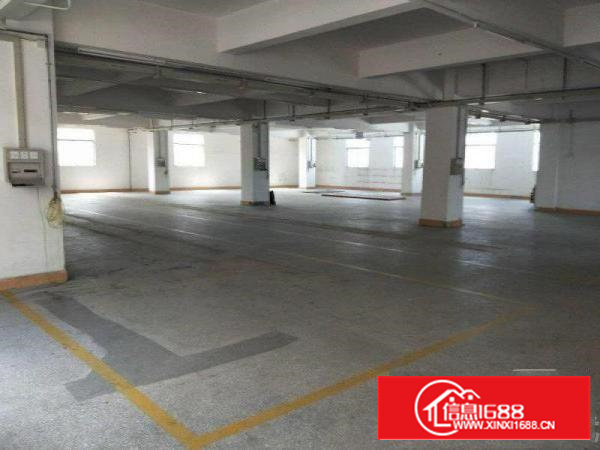 石岩洲石路新出楼上1100平厂房，有红本