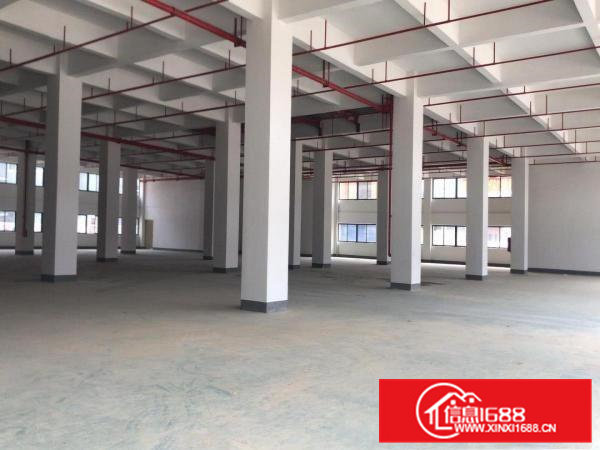 可办环评）大朗全新标准工业园厂房3800平每层，带消防喷淋