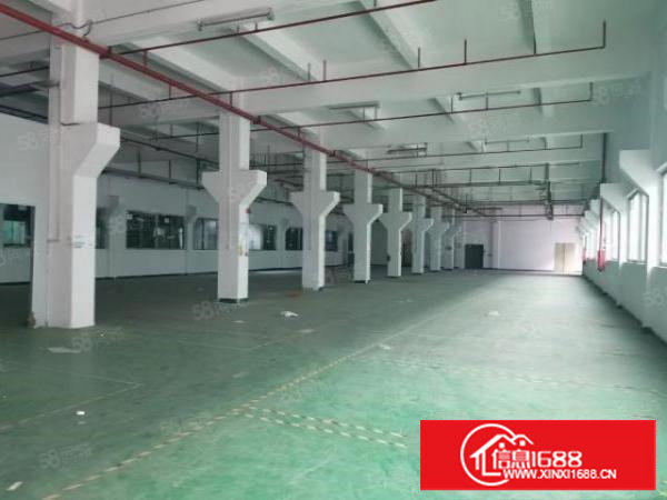 塘厦近深圳新出原房东独院厂房4500平方带装修急租