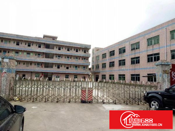 坪山石井市场附近独门独院厂房5800平方