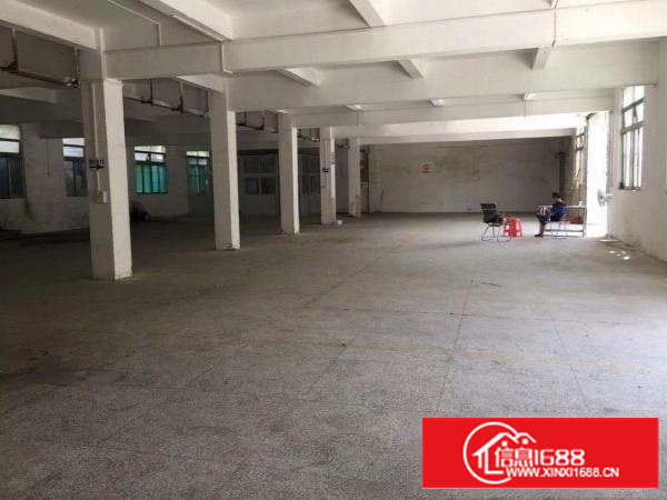 横岗六约房东厂房直租1200平米可分租