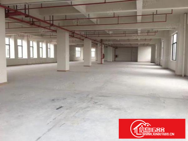 常平环城路边独门独院厂房2300平方招租，工业用地带环评