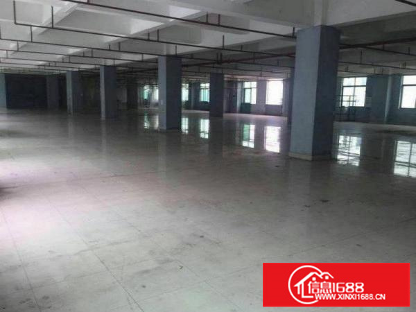 仲恺沥林有厂房面积2000平，带消防喷淋，有红本