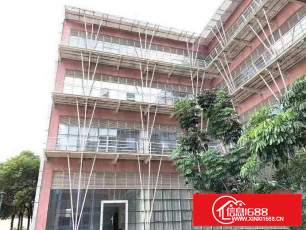 赤岗工业区新出一楼1000平方厂房，现成办公室装修，可办环评