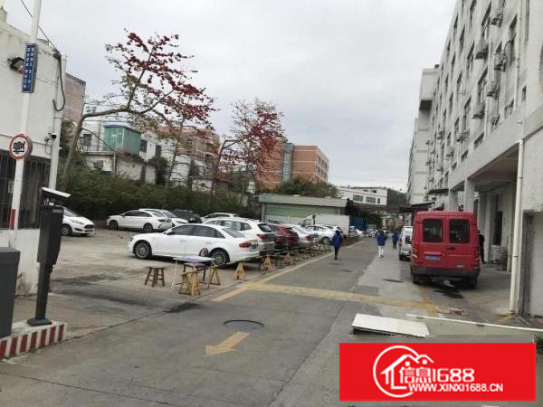 横岗塘坑地铁站六和路1号615平米现成装修电商仓库出租