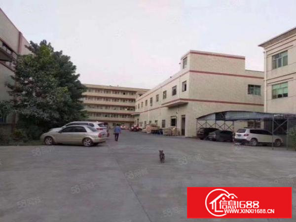 清溪三中原房东二楼1300平方带装修急租