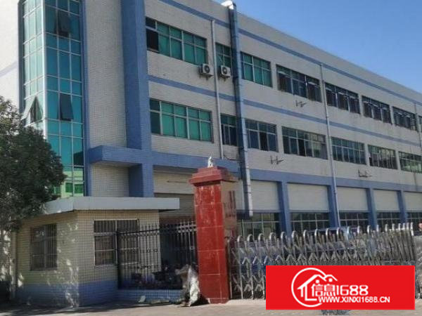 谢岗镇原房东独院