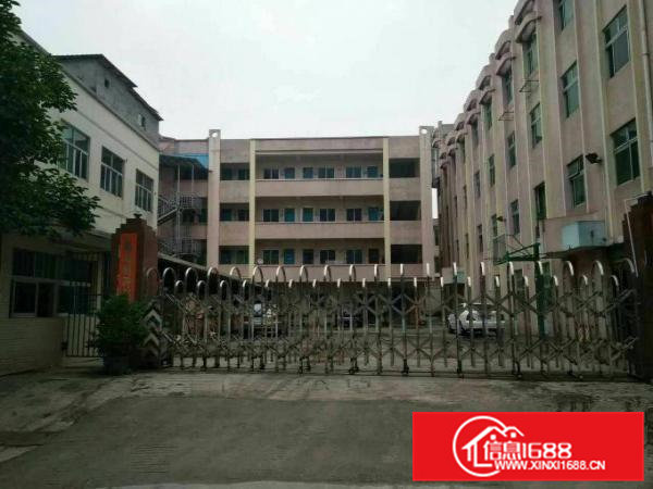 独院标准厂房6000平方，位置好，易招工