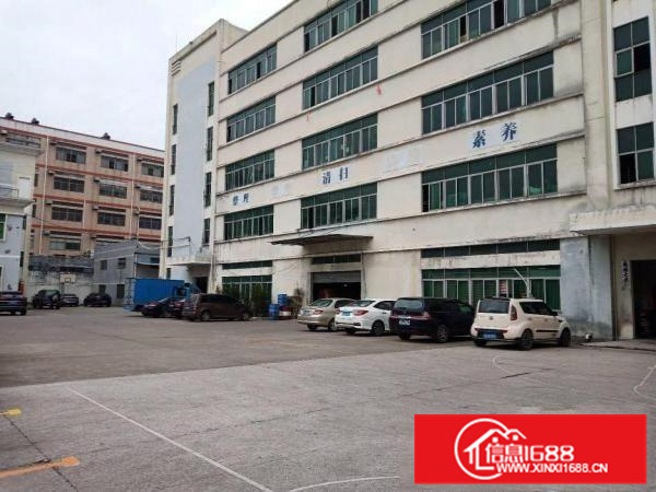 205国道边标准一楼厂房650平出租，有空地