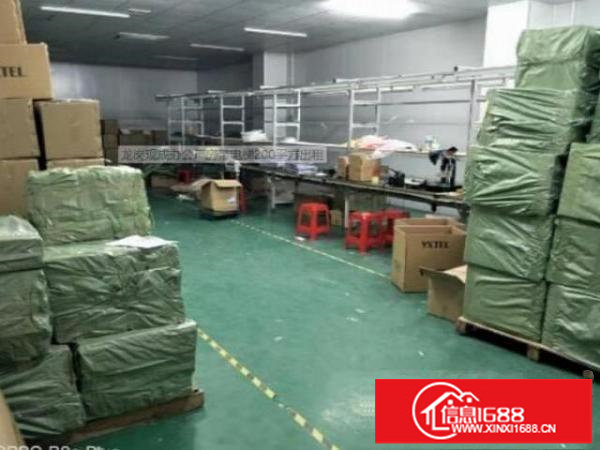 三楼800平精装修厂房出租大空地停车位