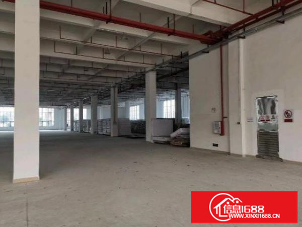 沙头全新自建厂房出租