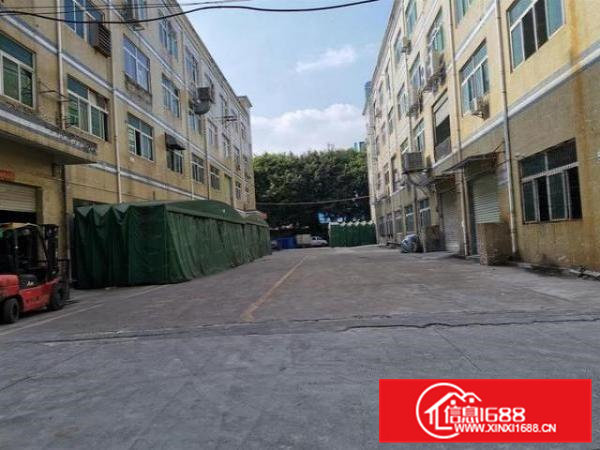 虎门陈村社区一楼630平厂房出租带航车全新地平漆