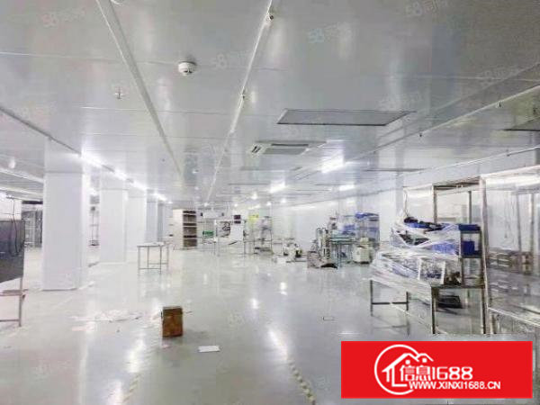 桥头稀有设备完好无尘车间出租
