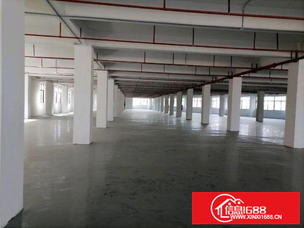 原房东工业园区招租，靠近石大路，东部快速