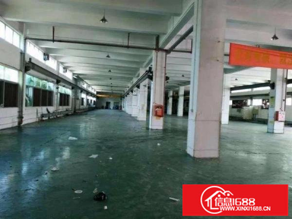 坪山区坑梓大型工业区新出一楼1000平实际面积出租