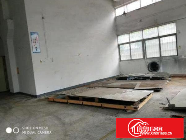 观澜龙华新田一楼400平米5.5米高带牛角有办公室