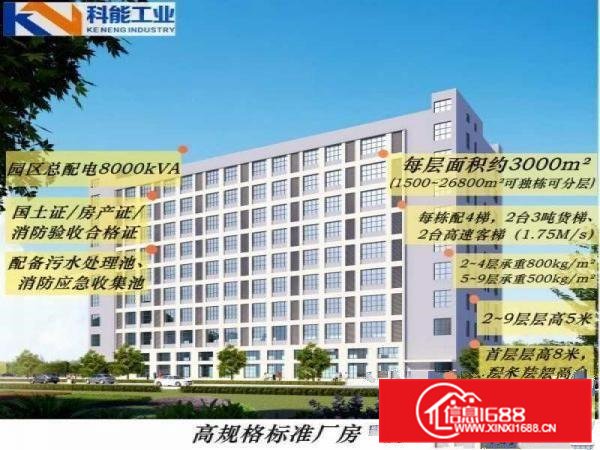 大岭山新出高规格标准厂房3000平方,可分租