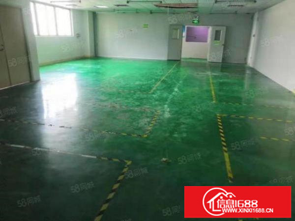 大浪220平米带装修办公室厂房出租