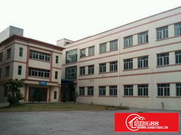 龙岗区龙城出租1400平方独院标准厂房，房东急租