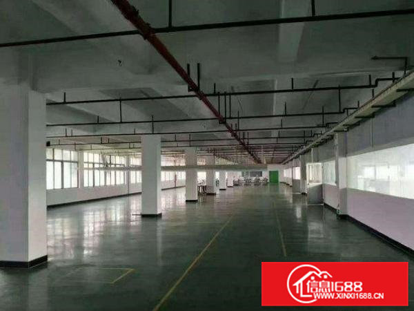 常平岗梓一楼厂房1000二楼1600平米可分租