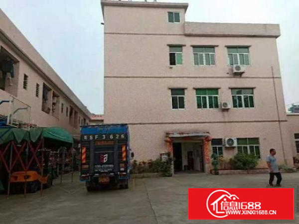 万江客运总站高埗大量标准厂房道滘单层一楼小型仓库招出租