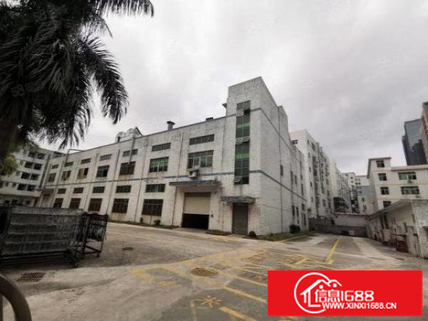 出租！原房东观澜观平路边新出一到二层3000平独门独院厂房