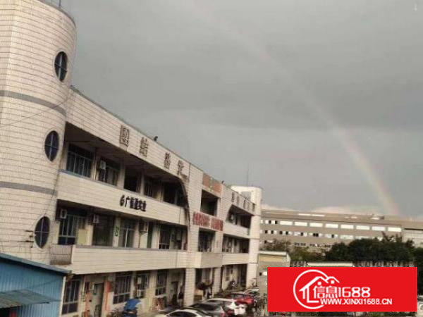 出租清溪镇清溪三中大面积钢构厂房租价低直8元每平