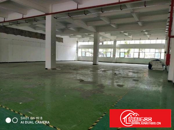 谢岗—龙璧工业园，标准厂房，带阁楼
