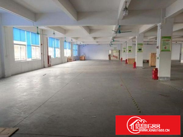 容桂标准1850方，厂房方正实用，采光好，进车方便