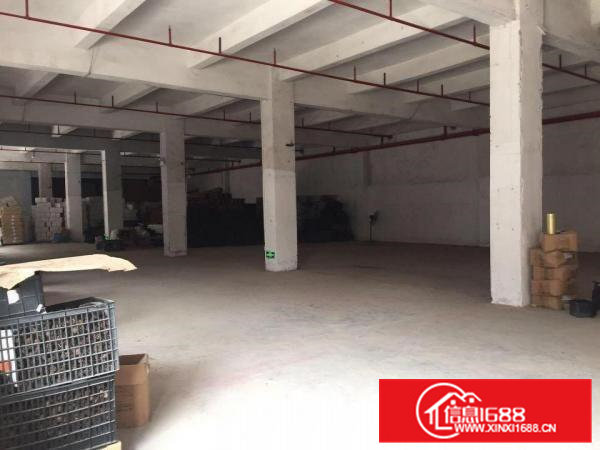 出租企石分租一楼