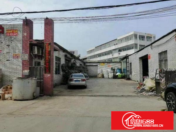 一楼标准厂房及铁皮房