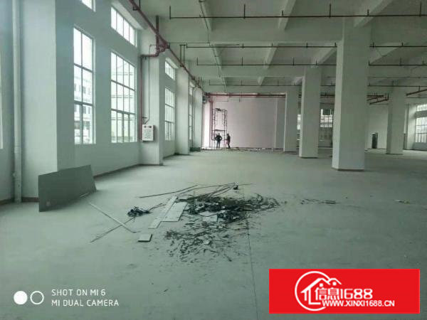 长安上沙中南广场旁独院3000平厂房出租可做仓库可分租