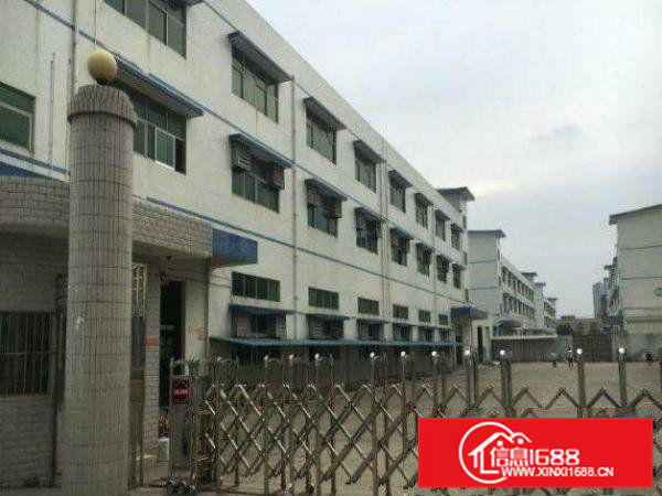 清溪楼上700平米带货梯精装修标准厂房火爆招租