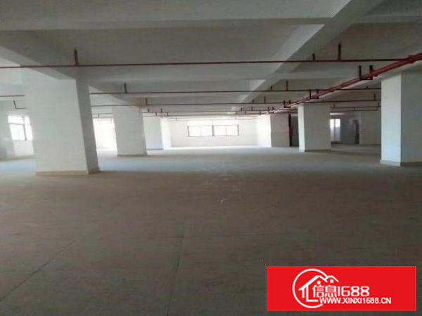 清溪现有标准厂房900平双层出租配电梯