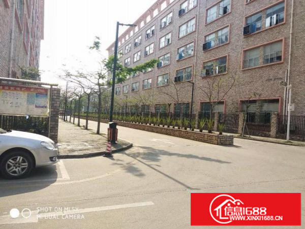 坪山坑梓新出原房东带红本3500平带牛角滴水7米高端标准厂房