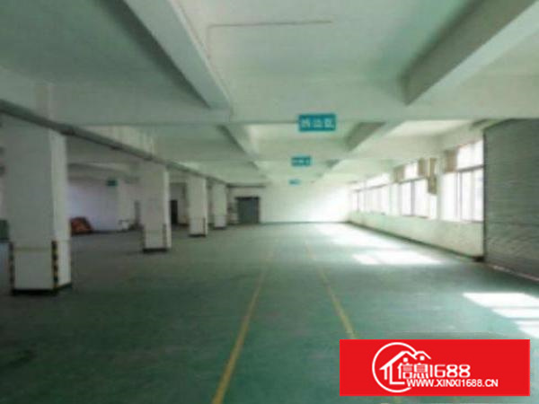 万江带现成装修标准楼上600或1000平方招租滴水8米高现成