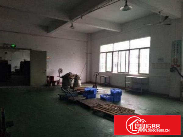 出租龙岗区龙岗宝龙主干道边新出楼上300平带装修标准厂房出租