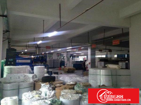 龙岗南联爱南路新出独院一楼500平出租高5米