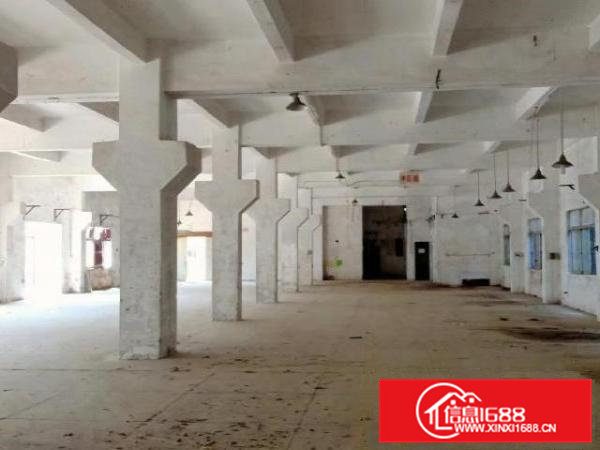 清溪大利新出一楼1300平方。高度7米。