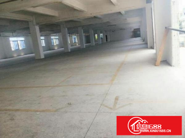 万江标准独院分租一楼1000平米厂房招租带装修