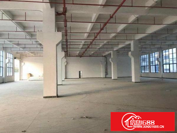 坑梓原房东红本滴水10米高钢构厂房招租有水电