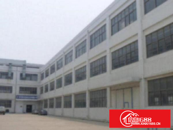 高埗标准一楼900平米出租,适合多种行业现成办公室修