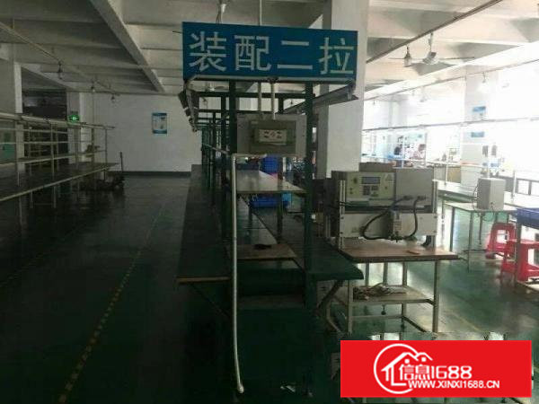 虎门雅瑶楼上新出带装修厂房2000平