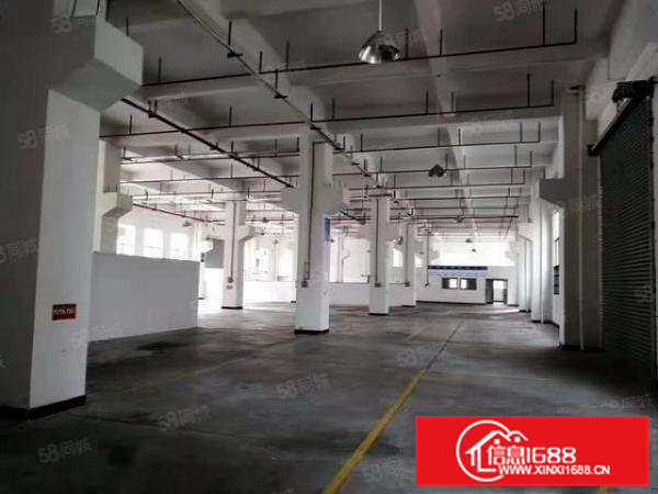 桥头镇原房东独院标准厂房一楼，主线到车间，位于成熟工业区