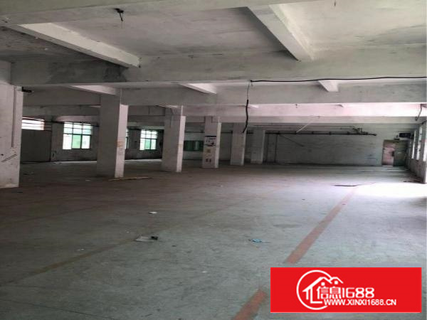 碧岭9成新独院厂房1;2楼各1400平出租可分租