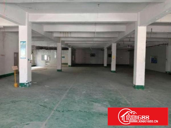 万江新出一楼800平方.带装修.带办公室