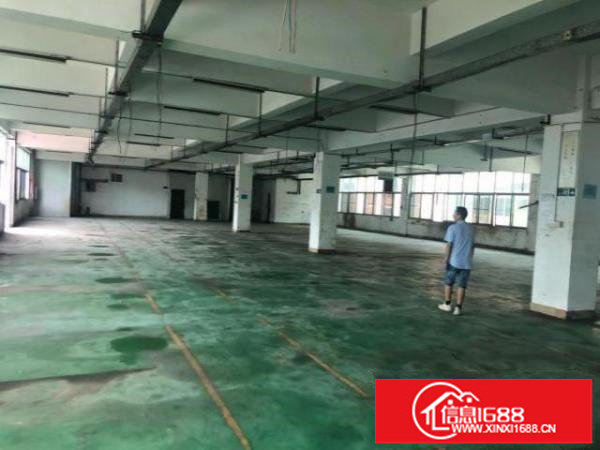 原房东独院厂房6000平